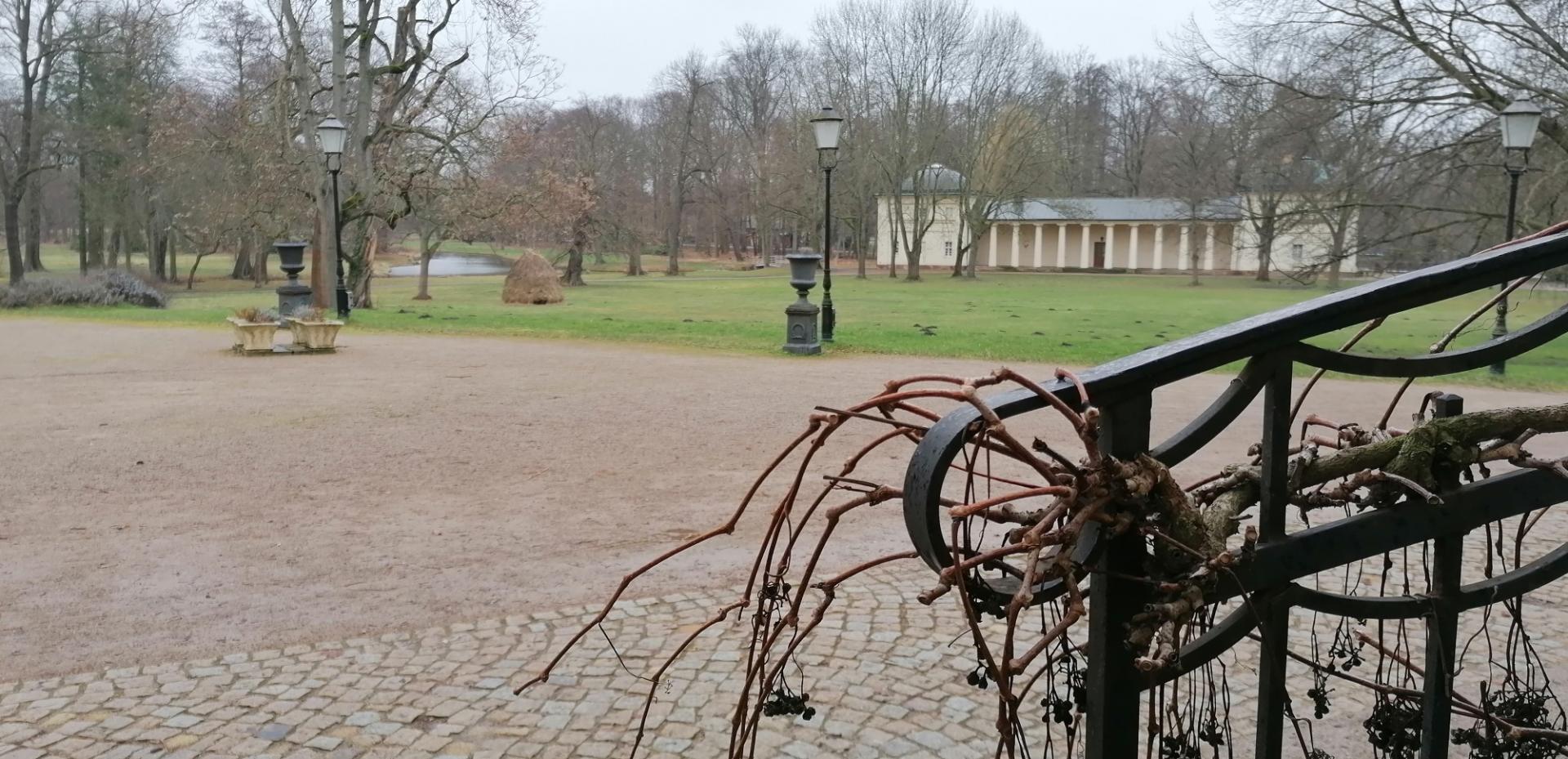 Blick in den Schlosspark. Foto: Dörthe Ziemer