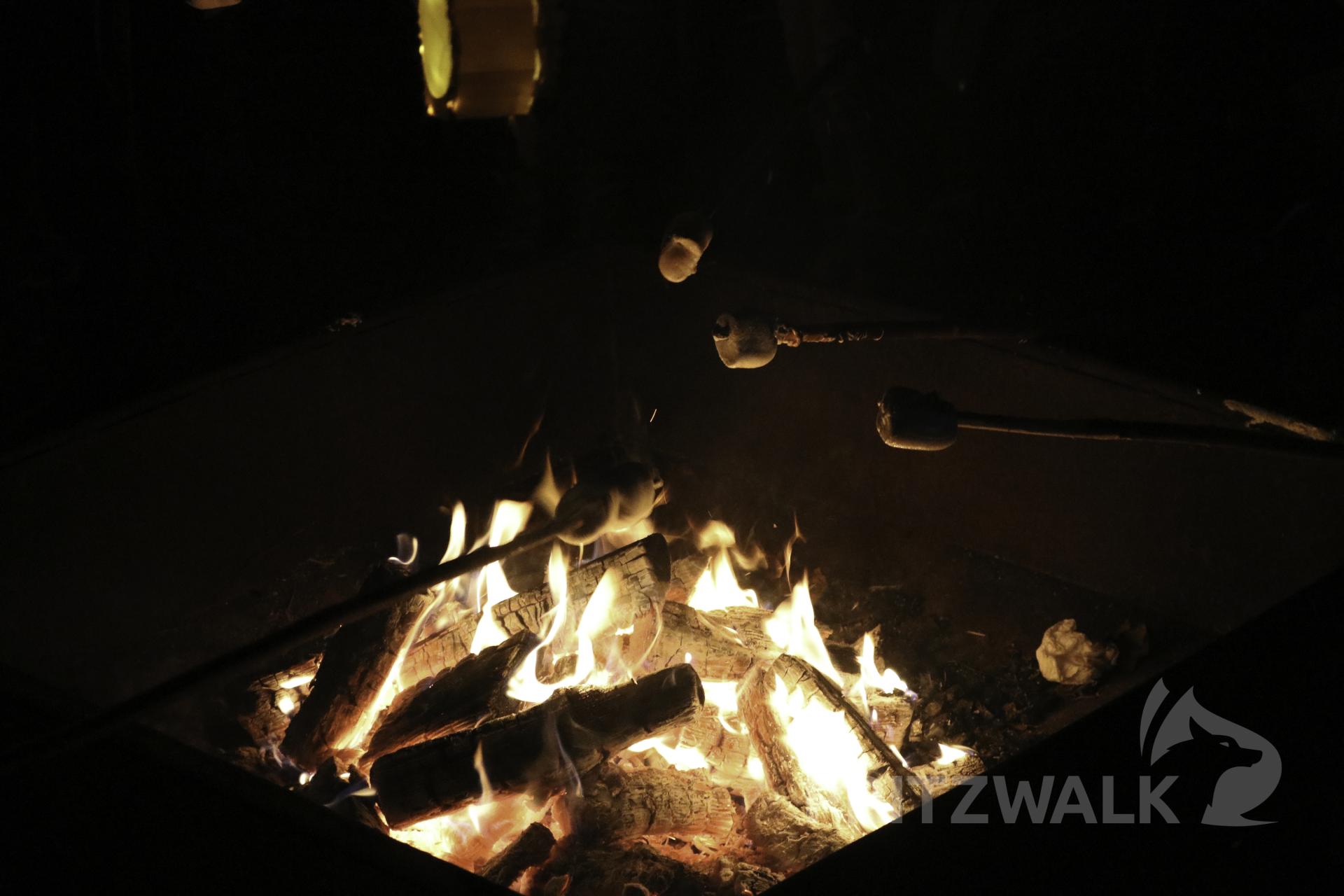 Marshmallows über der Feuerschale. Foto: Kita Tausendfüßler