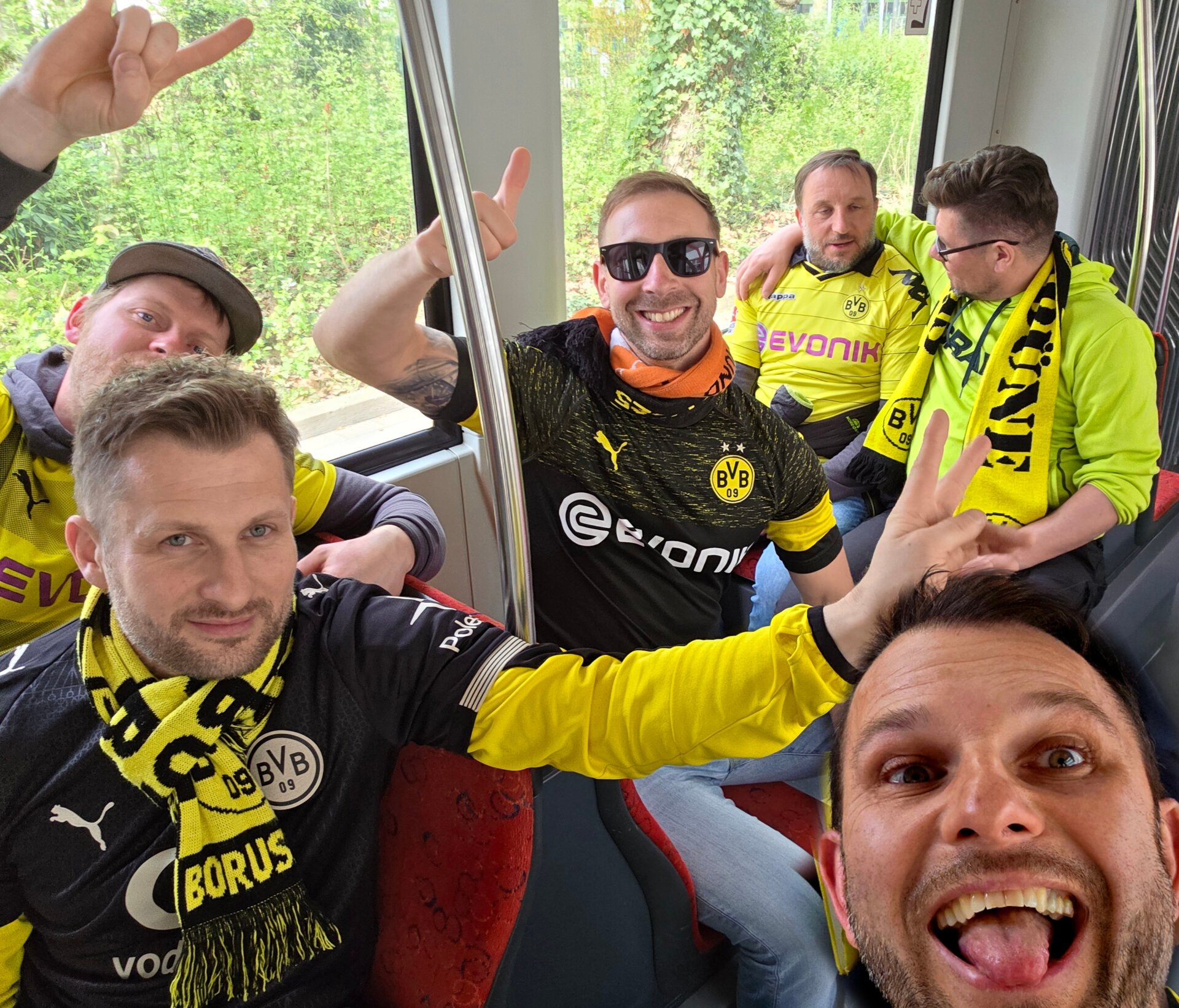BVB 3