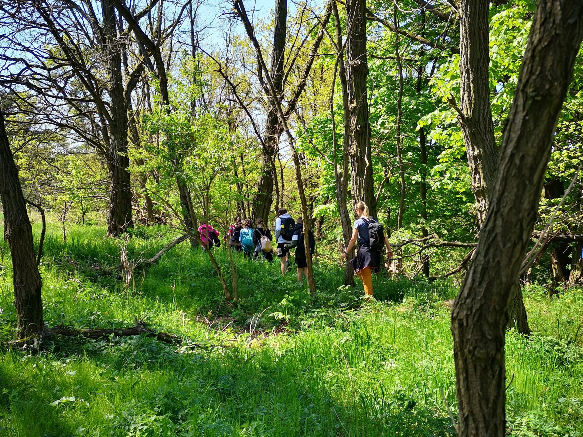 Wanderung_am-NSG_P_Böhnke-Förster