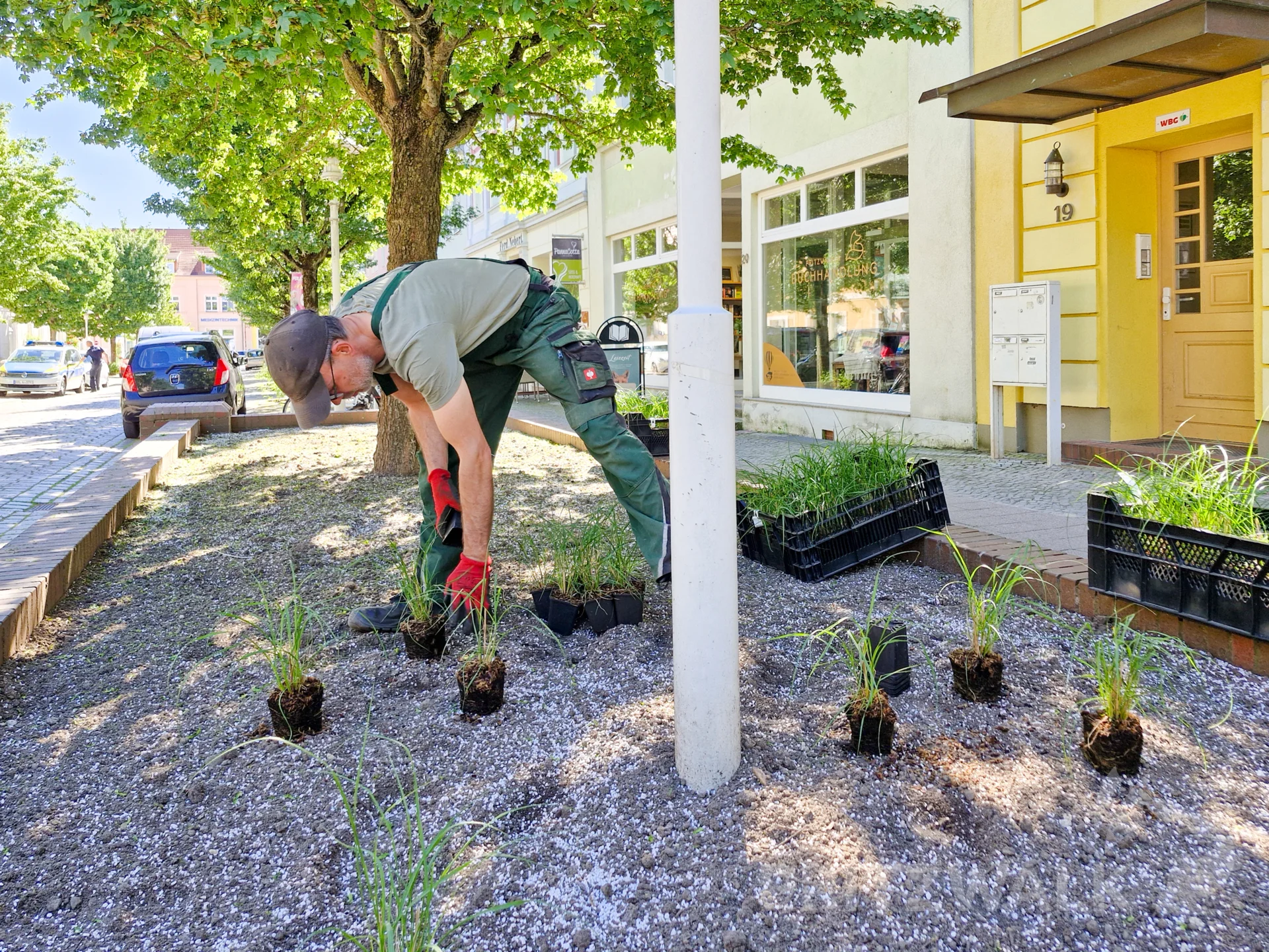 Das Pflanzen der neuen Stauden kam zügig voran. Foto: Stadt Pritzwalk