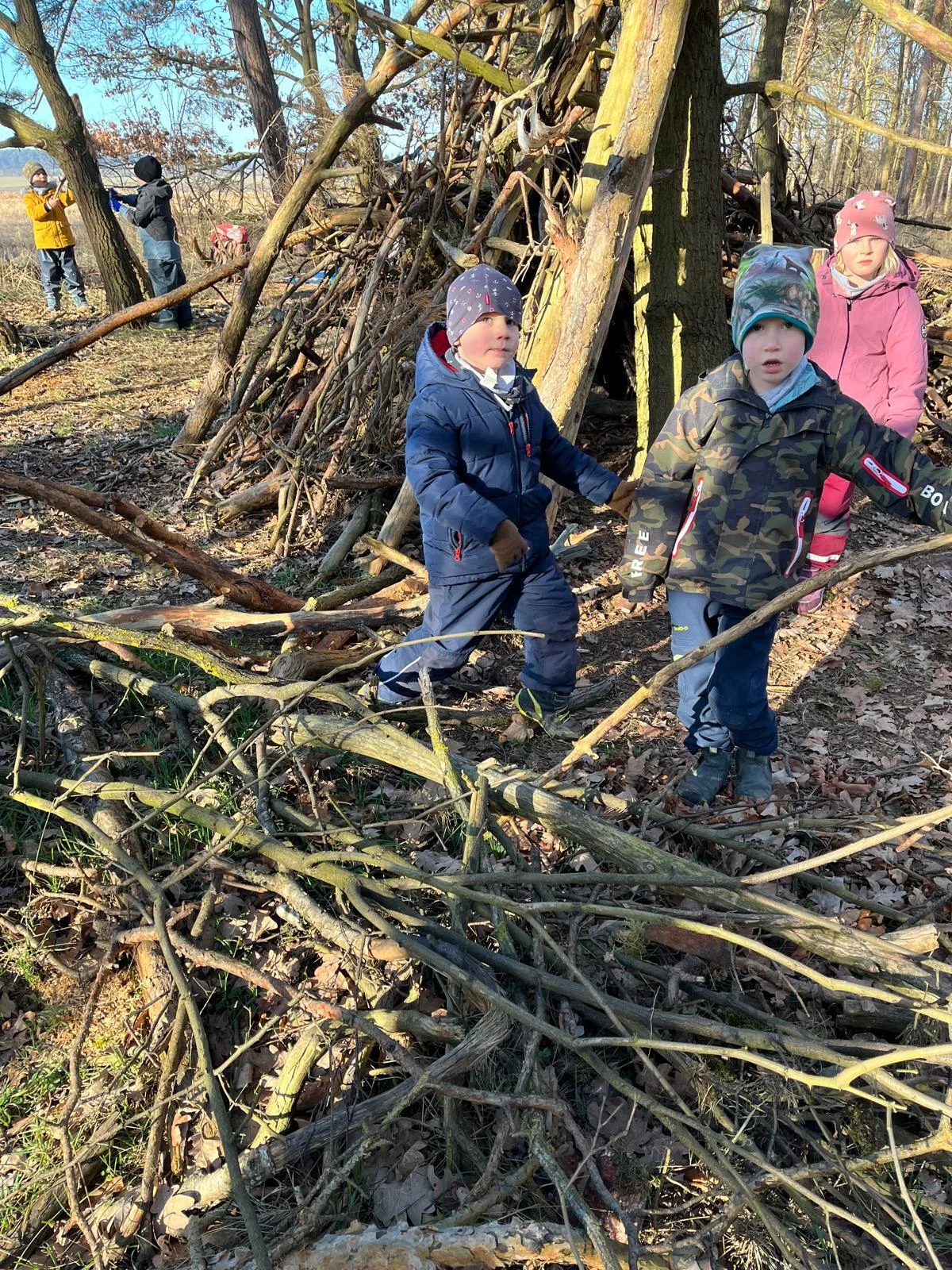 Fleißige Baumeister im Wald in Aktion