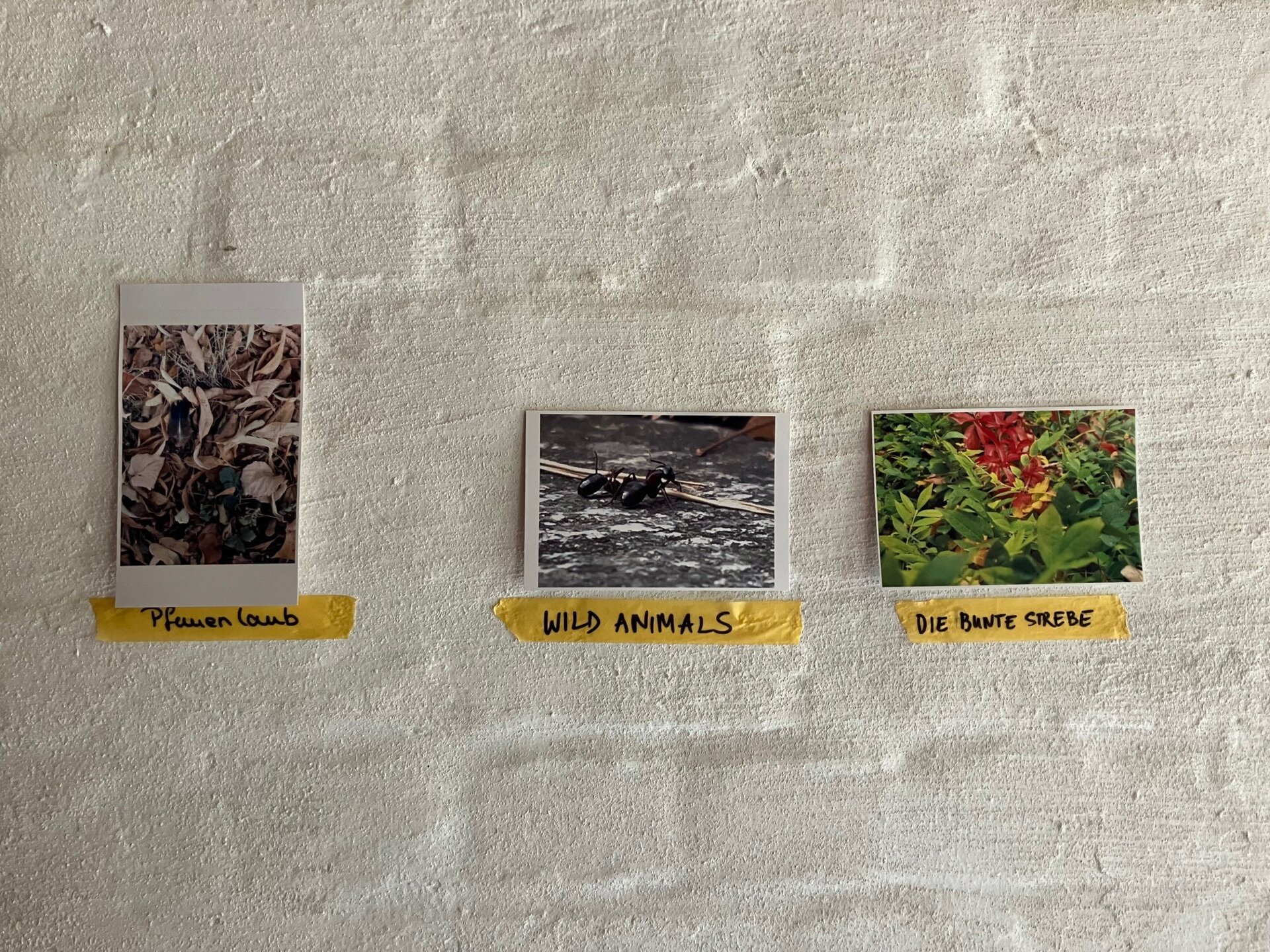 Ausstellung an der Fotografie-Station