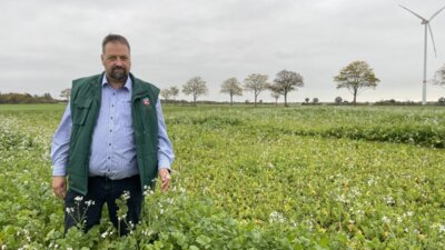 Nitratkonzentration ist im Sickerwasser in Niedersachsen so niedrig wie noch nie