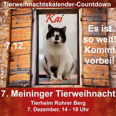 Weihnachtsbesuch zur 7. Tierweihnacht (Bild vergrößern)