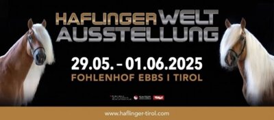 Haflinger Weltausstellung (Bild vergrößern)