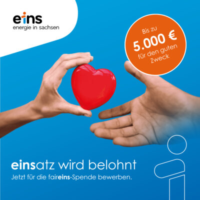 faireins-Spende 2024 (Bild vergrößern)