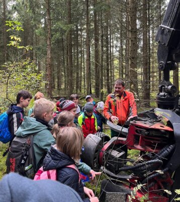 Meldung: Unser großer Waldtag am 2.10.2024