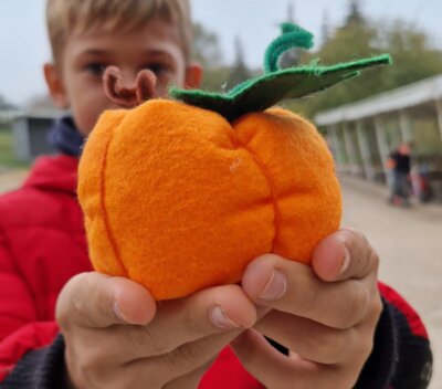 Kürbisköpfe (Bild vergr&ouml;&szlig;ern)