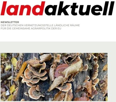 Neue Ausgabe: DVS-Newsletter "landaktuell"