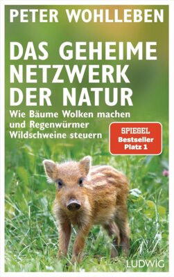 22. Dezember (Bild vergrößern)