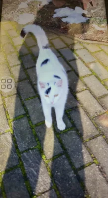 Foto zur Meldung