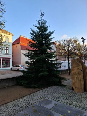 Weihnachtsbaum am Klostervorplatz (Bild vergrößern)