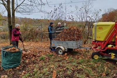 Foto zur Meldung: Letzter Arbeitseinsatz 2024 auf dem Vereinsgelände