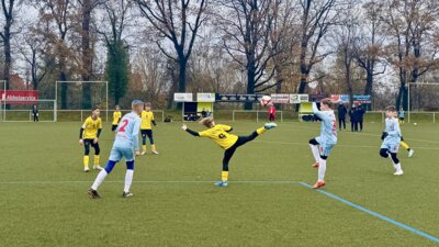 Heimsieg für unsere #FSVD1 (Bild vergrößern)