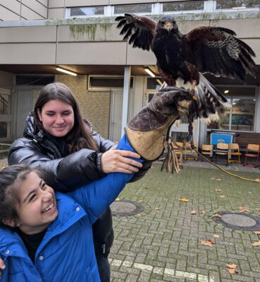 Foto zur Meldung: Greifvogel-Projekt an der Theodor-Andresen-Schule