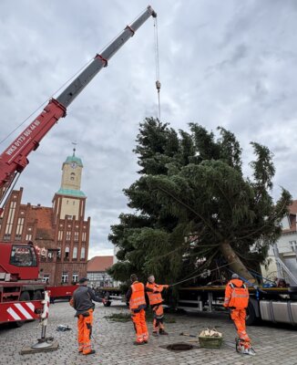 Adventsbeleuchtung wird vorbereitet