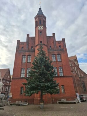 Foto zur Meldung: Weihnachtsbaum vor dem Rathaus aufgestellt – Festliche Stimmung in Perleberg