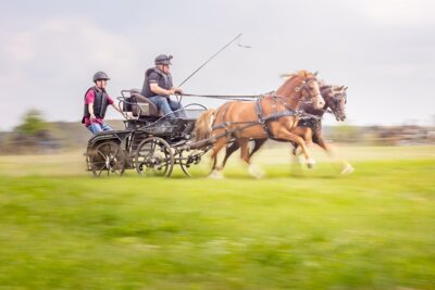 Fahrsportturniere 2024 (Bild vergrößern)