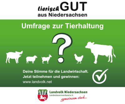 Umfrage "tierisch gut"