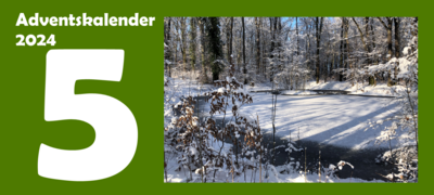 5. Adventskalendertürchen (Bild vergr&ouml;&szlig;ern)