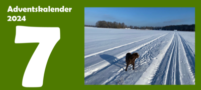 7. Adventskalendertürchen (Bild vergr&ouml;&szlig;ern)