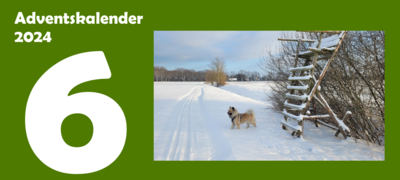 6. Adventskalendertürchen (Bild vergr&ouml;&szlig;ern)