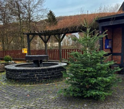 Einladung zum gemeinsamen Schmücken des Weihnachtsbaums in Willmenrod (Bild vergrößern)