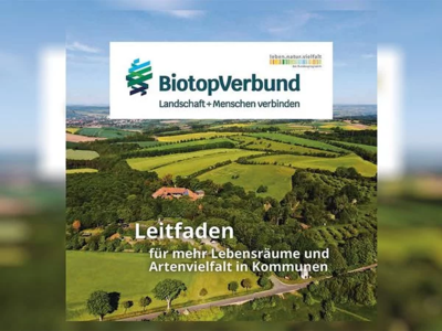 Leitfaden für mehr Lebensräume und Artrenvielfalt in Kommunen (Bild vergrößern)
