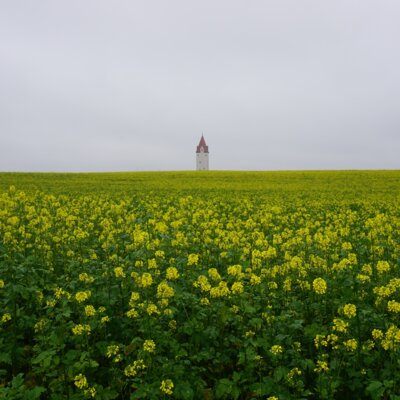 Der Gemeinderat Pollenfeld korrigierte in seiner jüngsten Sitzung den Hebesatz A für landwirtschaftliche Flächen für das Jahr 2025 nach unten. (Bild vergrößern)