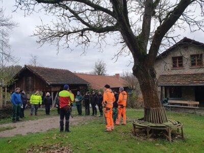Ostbaumschnittkurse erfolgreich durchgeführt (Bild vergrößern)