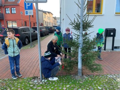 Foto zur Meldung: Weihnachtsbäume in der  Laager Innenstadt geschmückt