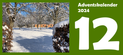 12. Adventskalendertürchen (Bild vergr&ouml;&szlig;ern)