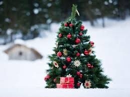Meldung: Weihnachtsgedicht 2024