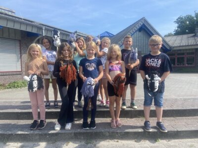 Meldung: Neue Hobby Horses für die AG