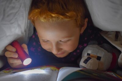 Foto zur Meldung: Spaß am Lesen und Vorlesen? Ehrenamtliche für Lesepatenschaften in Kindertagesstätten in Homburg und St. Ingbert gesucht