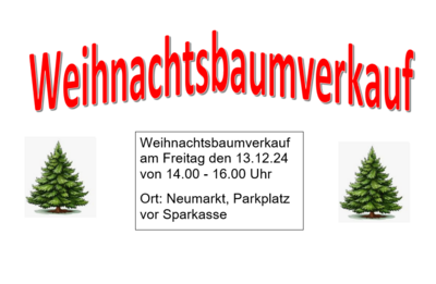 Weihnachtsbaumverkauf in Wurzbach