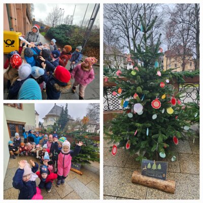 Meldung: Oh Tannenbaum, Oh Tannenbaum