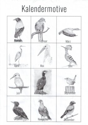 Meldung: Vogelkalender 2025