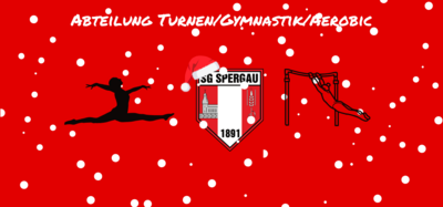 52. Weihnachtspokalturnen (Bild vergrößern)