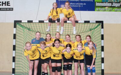 Gemeinsam Stark: Unsere D-Jugend begeistert mit Teamgeist und Spielfreude! (Bild vergrößern)