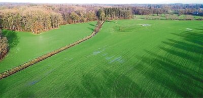 Initiative gegen Windpark erfolgreich?
