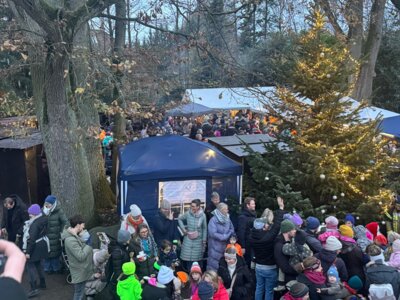 Meldung: Weihnachtsbasar 2024