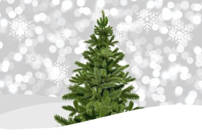 Öffnungszeiten der Gemeindeverwaltung an Weihnachten (Bild vergr&ouml;&szlig;ern)