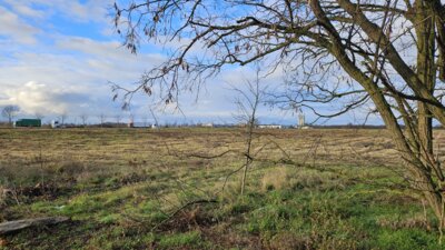 Die Fläche, auf der das Projekt Königspark entwickelt werden soll, liegt zwischen Diepensee, B179 und A10 nordwestlich von Königs Wusterhausen. Foto: Dörthe Ziemer (Bild vergrößern)