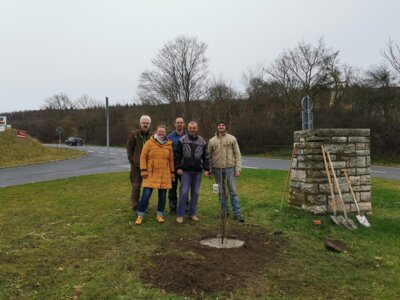 Meldung: Baumpflanzaktion: Felsenbirne schmückt die Schleizer Straße