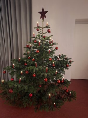 Weihnachtsfeier (Bild vergrößern)