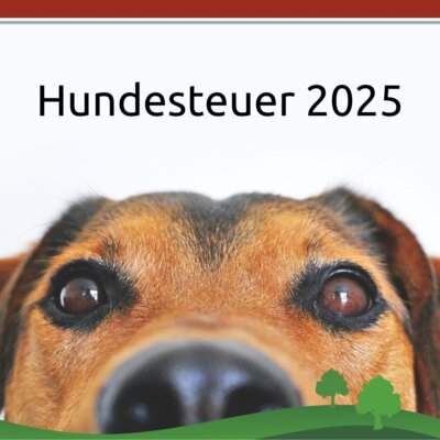 Hundesteuer 2025 (Bild vergrößern)
