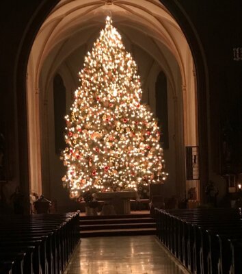 Christbaum in der Pfarrkirche St. Johannes