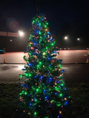Impressionen vom Jingle-Bell-Run 2024 (Bild vergrößern)